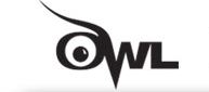 Purdue University Owl Icon